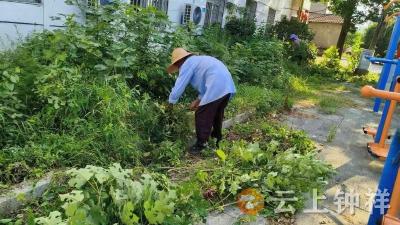 九里回族乡边畈村开展灭蚊防蚊专项行动 多措并举筑牢健康防线