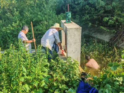 罗汉寺种畜场：全力抗旱保秋粮，筑牢农业“生命线”