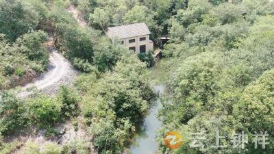 东桥镇：提水抗旱保丰收 科学调度灌溉万亩耕地