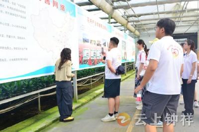 青春研学赋能产业振兴——柴湖镇开展青年人才实践活动
