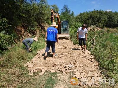 高温下的坚守——张集镇黑王寨村网格员抢修生产路助秋收