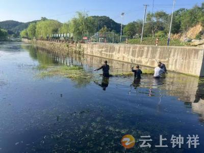 张集镇宗湾村：守护碧水清流 共建美好家园