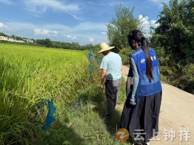 皇庄街道皇城社区：“小积分”撬动“大防控”筑牢基孔肯雅热防线