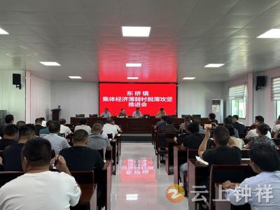 东桥镇召开脱薄推进会：直面问题，为集体经济薄弱村“脱薄”破局