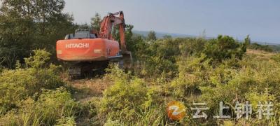 张集镇罗家庄村：盘活闲置土地 发展特色产业