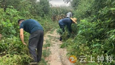石牌镇横店村：提前清障保通路 未雨绸缪护生产