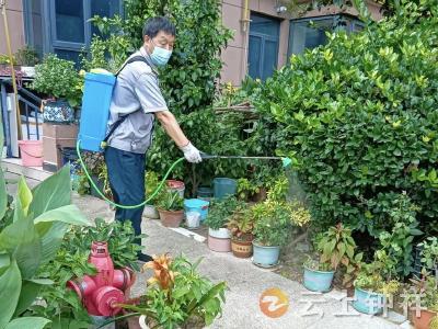 郢中街道码头街社区：积分“小杠杆”撬动防蚊“大合力”