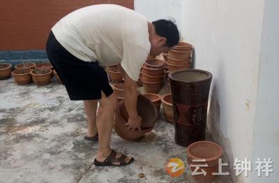 张集镇：防蚊灭蚊清积水 共筑防疫安全线