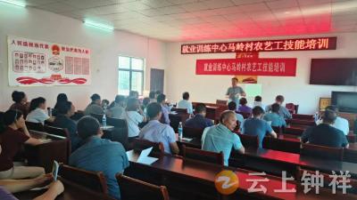 东桥镇马岭村：农艺培训为粮食增产村民增收注入新动力