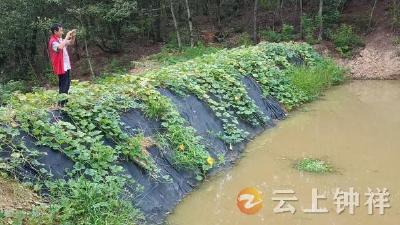 张集镇月亮门村：集体资源信息化 网格助理来完成