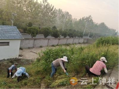柴湖镇集中整治“三堆两垛” 多村联动打造清爽人居环境
