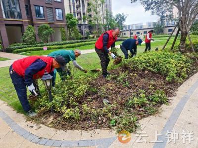 清洁家园迎双节，社区物业携手共创美好环境