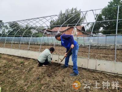 冷水镇鲍岗村：网格员暖心助农 修复大棚解民忧