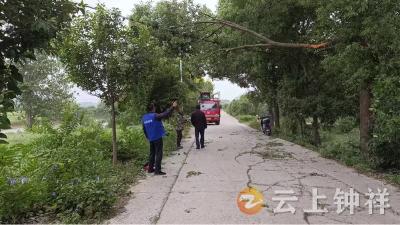 冷水镇杨岭村网格员“排险记”：及时清除断裂树枝 保障道路安全畅通