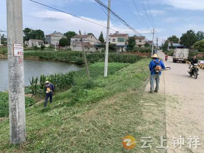 洋梓镇：河湖长制发力 水域治理焕新颜