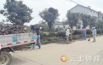 文集镇汉林村：扮靓美丽家园 绘就宜居画卷