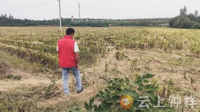 石牌镇横店村：抓实秸秆禁烧 守护乡村生态