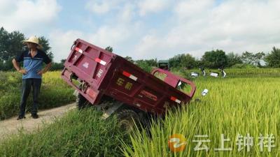 冷水镇郑湾村：网格员暖心助农 救援侧翻三轮车解农忙急