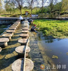 长寿镇长寿村：共治长寿河 水美焕生机