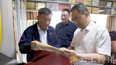 张勇在经开区 石牌镇调研工业技改 项目建设 基层组织建设 消薄攻坚等工作