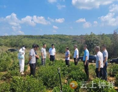 李志珍在长滩镇调研产业发展等工作