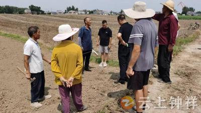石牌镇姚台村：修通生产路解民忧 实干为民暖人心