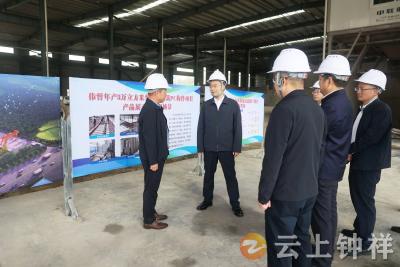 张勇调研重点项目建设 村集体经济消薄攻坚 检查防汛备汛工作