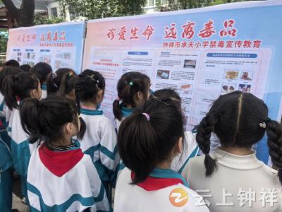 钟祥市承天小学：禁毒宣传“零距离” 筑牢安全“防护墙”