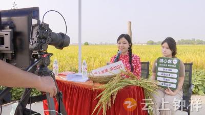 百名主播齐聚钟祥 65天直播助推湖北好米“出圈”