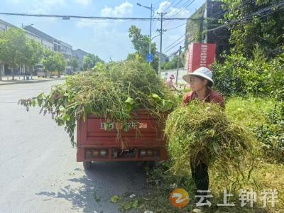 钟祥市文集镇：聚焦“三大战役” 加强道路交通安全整治