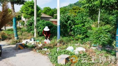 胡集镇丽阳社区：积分助力 护航校园平安路