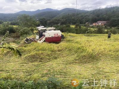 张集镇包畈村：网格员暖心助农 为残疾农户抢收“救命稻”
