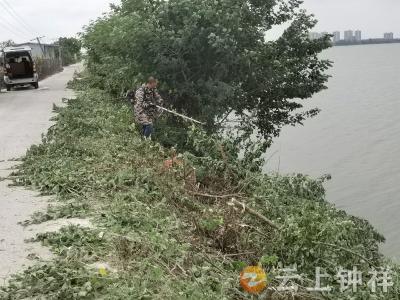 九里回族乡肖店社区：河湖专项清理出实招 整治“四乱”见实效