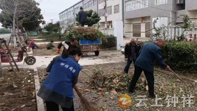 冷水镇百井村：“清洁家园”再掀热潮 积分制点燃村民参与热情