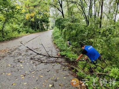 冷水镇孔艾村：雨后断枝挡路 网格员及时清障保畅通
