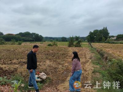 双河镇：日夜坚守“责任田” “秸”尽全力护蓝天