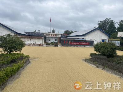 张集镇万金淌村：党员干部变身晒场“帮手” 为民解忧保丰收