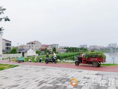 郢中街道宫塘社区：志愿者巡湖护生态 共绘水清岸绿画卷