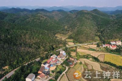 秋日小美好，一路有馨香