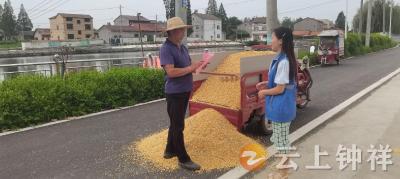 从“占道晒粮”到“集中晾晒”——柴湖镇全坑村网格员全力守护道路平安