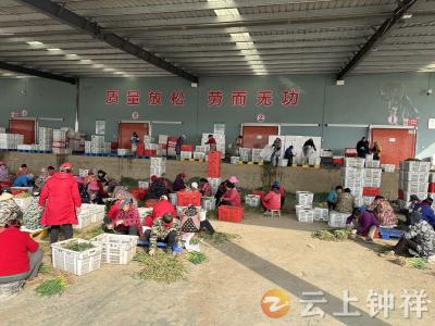 柴湖绿邦：用心守护“舌尖上的健康”