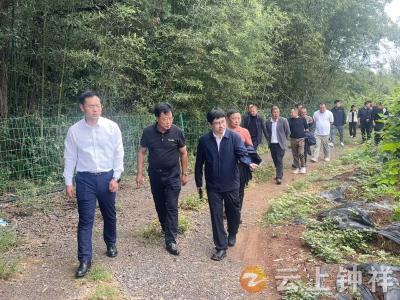 荆门市东宝区马河镇赴张集镇交流 学农业经验促产业提质