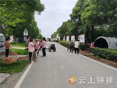 东桥镇永隆村：“积分制”助力环境整治 乡村风貌焕新颜