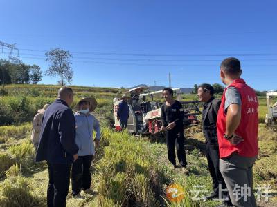 钟祥市团山村秋收“铁牛”陷泥泞，网格员合力“救”出丰收希望