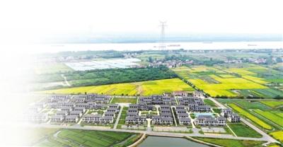 东风又绿东风村