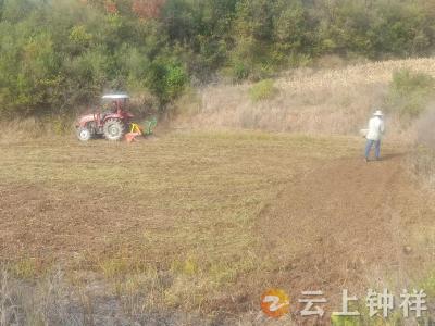 张集镇：抢天时如火如荼 抓秋播稳产增收