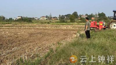 冷水镇李湾村：多管齐下抓秸秆禁烧 筑牢生态安全“防火墙”