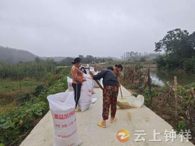 张集镇蔡岭村：秋雨突至 网格员暖心助残收稻谷
