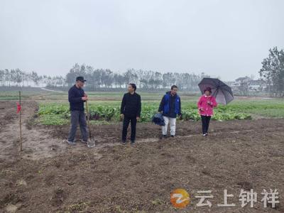 旧口镇：田间地头解纠纷 网格服务暖民心