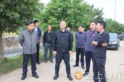 张勇在石牌镇检查水环境治理和防汛工作